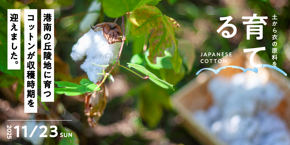 港南の丘陵地に育つコットン -収穫際-